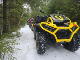 Квадроцикл BRC X-Terra 100 CT