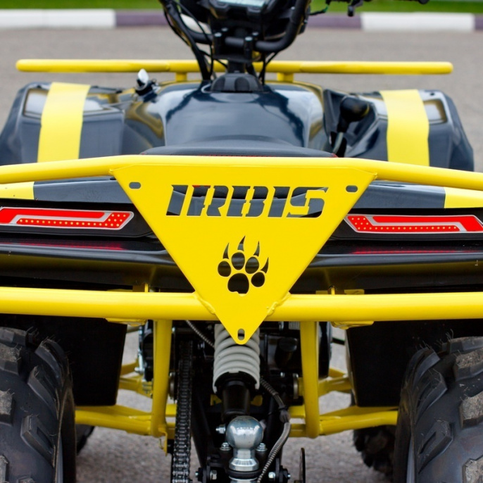 Квадроцикл IRBIS ATV 125